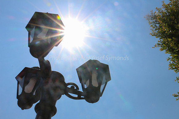 Lamp Posts in Sunlight 6