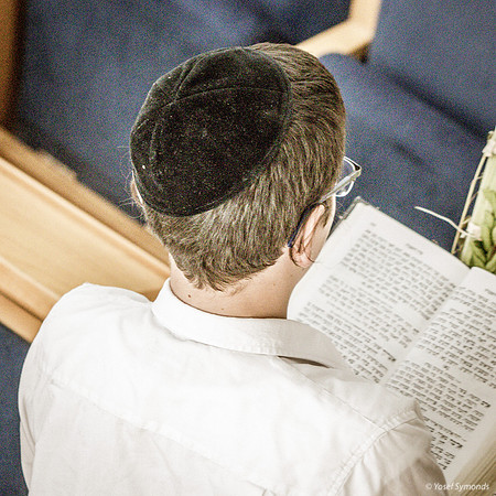 Hoshana Prayers 191020-9