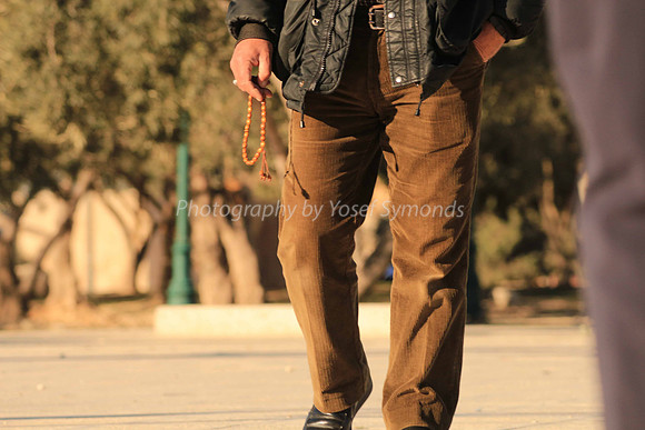 140209-HarHabayit-9836