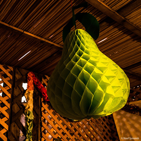 Green Sukkah Decoration 191017-2