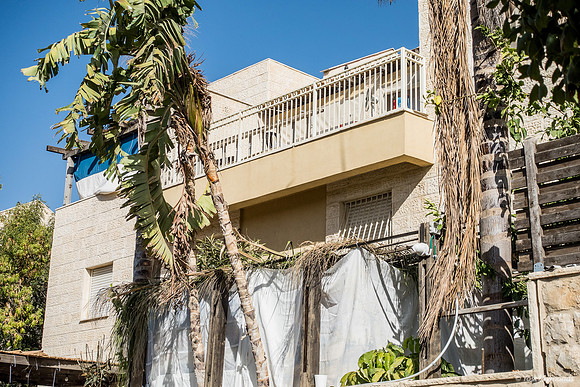 Tropical Sukkah 241025-1
