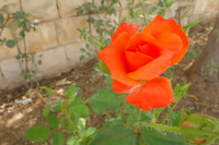 DSC04359