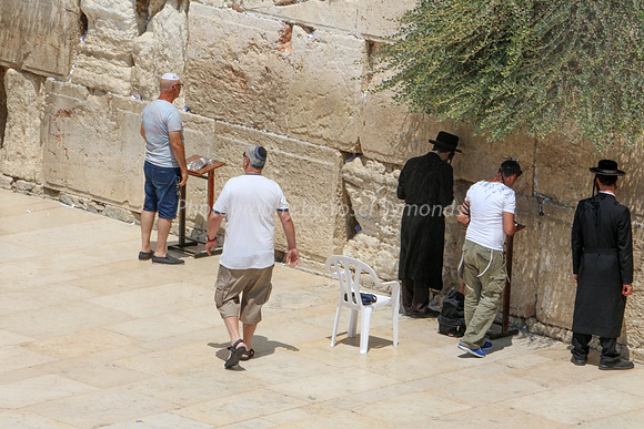 Kotel Plaza 1608-5