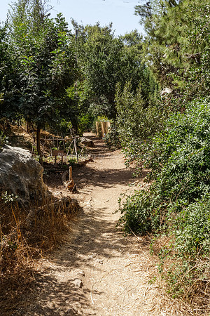 Link Path 8