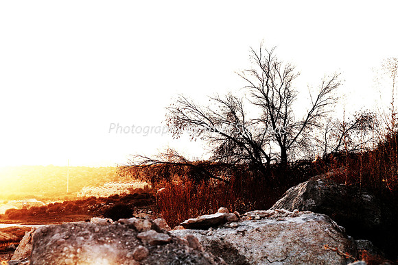 Mem 3 2014 Q3 Sunset on Ramat Shilo 8043A
