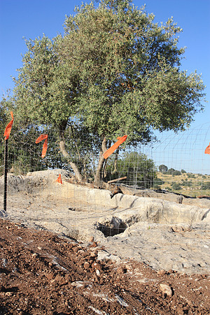 Gimmel 2 Antiquities Ramat Beit Shemesh  (6)