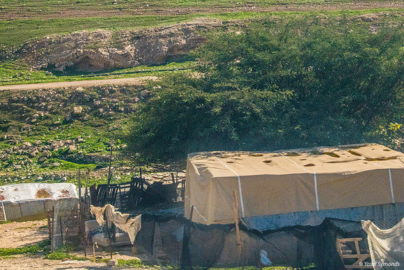 Bedouin Encampments 230111-21