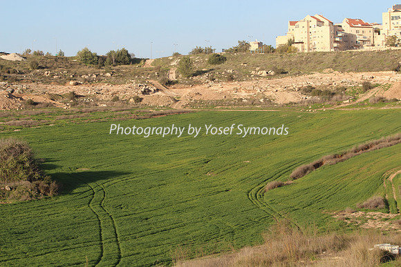Mishkafayim 2013 Q1 Development Jan13-28