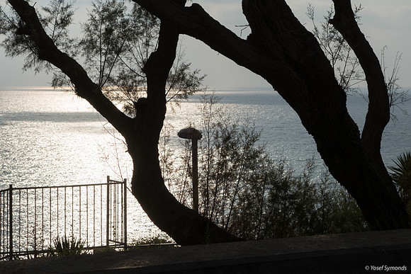 Seascape from Shaked Tayelet 190804-19
