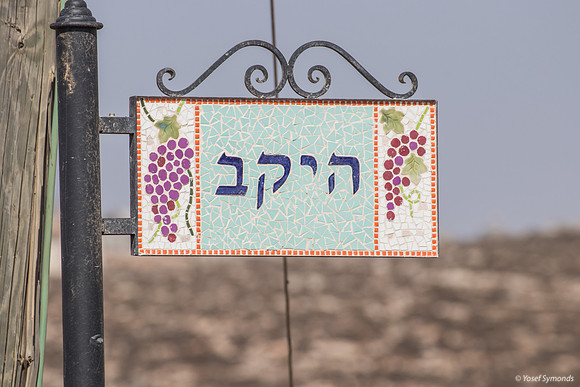 Winery Signpost 191015-1