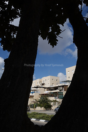 Bird's Eye View of Hayarkon Street RBSA 7