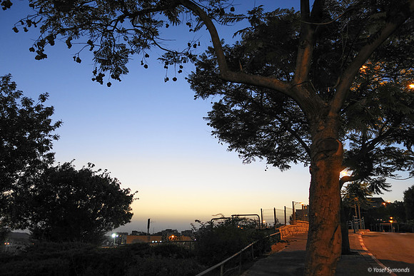 Nachal Maor at Dusk 3