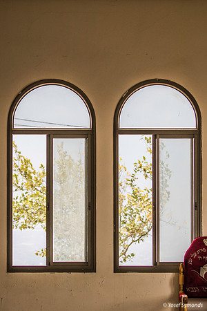 Synagogue Window 191015-2