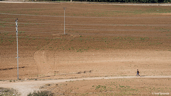 Walking Through Kibbutz Tzora Fields 191121-2